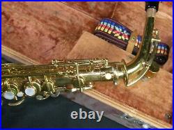 1925 Buescher True Tone Alto Saxophone Sax with Hard Case