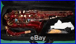 ALTO SAXOPHONE Eb+Fa# RED BODY & GOLD KEYS NEW ORLEANS + DVD + 10 REEDS
