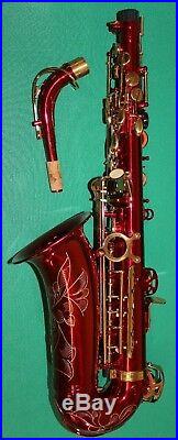 ALTO SAXOPHONE Eb+Fa# RED BODY & GOLD KEYS NEW ORLEANS + DVD + 10 REEDS