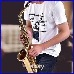 Alto Eb Sax Saxophone Brass Golden Set with Storage Case Mouthpiece Grease HOT