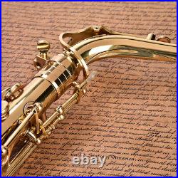 Alto Eb Sax Saxophone Brass Golden Set with Storage Case Mouthpiece Grease HOT