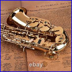 Alto Eb Sax Saxophone Set With Storage Case Mouthpiece Accessories Golden New UK