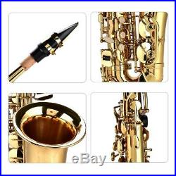 Alto Eb Sax Saxophone Set with Storage Case Mouthpiece Accessories Kid Adult