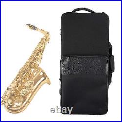 Alto Sax Bag Durable Large Capacity Saxophone Handbag for