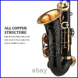 Alto Saxophone Brass Black Paint Eb E-flat Sax Practice Woodwind Instrument P4E9