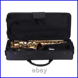Alto Saxophone Brass Lacquered 802 Eb E Flat Sax + Care Set Z9V5