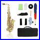 Alto_Saxophone_Brass_Lacquered_Gold_Eb_Sax_with_Cleaning_Mouthpiece_Brush_Case_01_qi