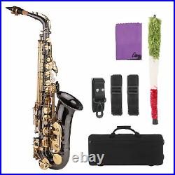 Alto Saxophone Brass Nickel-Plated Eb Sax Mouthpiece Case Kit for Beginner F7W1