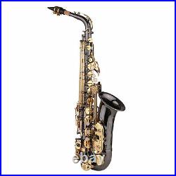 Alto Saxophone Brass Nickel-Plated Eb Sax Woodwind Instrument with Case Set D5P1