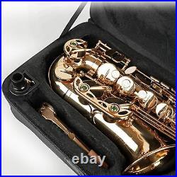 Alto Saxophone Case Alto Sax Case Sturdy Beginner Double