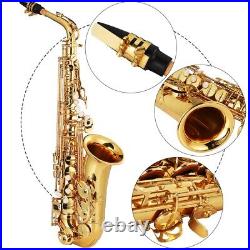 Alto Saxophone E Flat Brass Sax Bending Tube Wind Instrument Electrophoresis