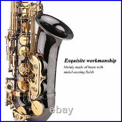 Alto Saxophone Eb E-flat Sax Brass Nickel-Plated with Carry Case for Beginner