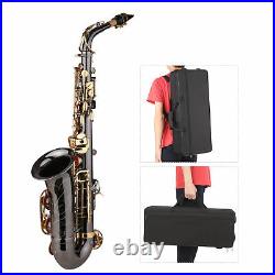 Alto Saxophone Eb E-flat Sax Brass Nickel-Plated with Carry Case for Beginner