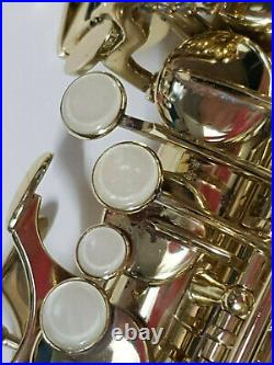 Alto Saxophone Eb Sax Gold Lacquer Intermusic Full Outfit In Hard Case -