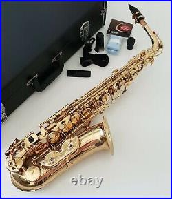 Alto Saxophone Eb Sax in Gold Lacquer with Hard Case- Intermusic Full Outfit 4