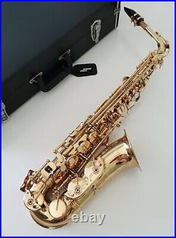 Alto Saxophone Eb Sax in Gold Lacquer with Hard Case- Intermusic Full Outfit 4