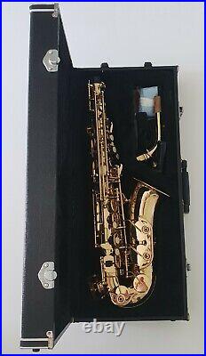 Alto Saxophone Eb Sax in Gold Lacquer with Hard Case- Intermusic Full Outfit 4