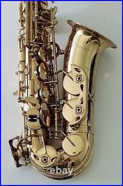 Alto Saxophone Eb Sax in Gold Lacquer with Hard Case- Intermusic Full Outfit -4