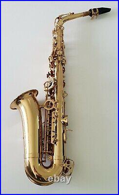 Alto Saxophone Eb Sax in Gold Lacquer with Hard Case- Intermusic Full Outfit 4