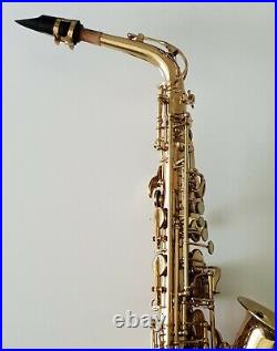 Alto Saxophone Eb Sax in Gold Lacquer with Hard Case- Intermusic Full Outfit 4