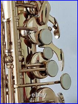 Alto Saxophone Eb Sax in Gold Lacquer with Hard Case- Intermusic Full Outfit 4