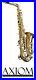 Alto_Saxophone_Quality_Student_Beginner_Sax_with_Case_and_2_Year_Warranty_01_zxkt