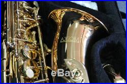 Alto Saxophone Quality Student Beginner Sax with Case and 2 Year Warranty