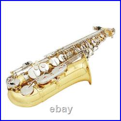 Alto Saxophone Sax Glossy Brass Engraved Eb E-Flat Sax with Case Care Kit Q0V8