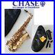 Alto_Saxophone_Sax_in_Eb_Gold_Finish_Complete_CHASE_Outfit_with_Soft_Case_1_01_zdyh
