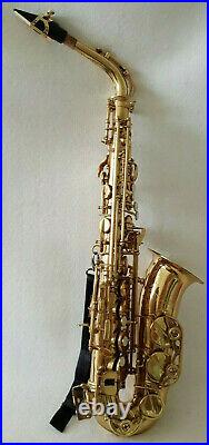 Alto Saxophone Sax in Eb Gold Finish Complete Outfit By Chase with Soft Case 1