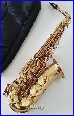 Alto Saxophone Sax in Eb Gold Finish & Soft Case Complete Outfit By Chase 1