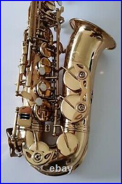 Alto Saxophone Sax in Eb Gold Finish & Soft Case Complete Outfit By Chase 1