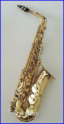 Alto Saxophone in Eb Sax in Gold Finish & Hard Case Complete Chase Outfit 2