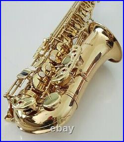 Alto Saxophone in Eb Sax in Gold Finish & Hard Case Complete Chase Outfit 2