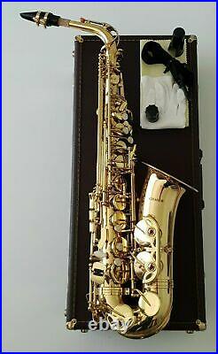Alto Saxophone in Eb Sax in Gold Finish with Hard Case Full Chase Outfit 2