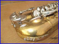 BEARS ALT / ALTO SAXOPHONE / SAXOPHONE made in ITALY