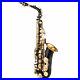 Beginners_Brass_Eb_Alto_Saxophone_Black_Paint_E_flat_Sax_with_Padded_Case_R0R4_01_xgo
