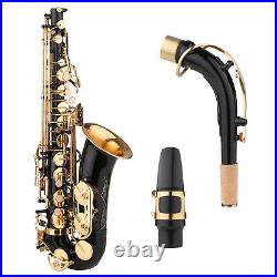 Beginners Brass Eb Alto Saxophone Black Paint E-flat Sax with Padded Case R0R4