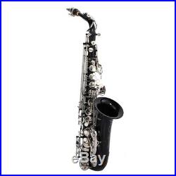 Black Nickel Plating Hand-carved Saxophone E Flat Alto Saxophone Sax + Care Kits