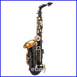 Brass Eb Alto Saxophone Black Paint E-flat Sax Carrying Case & Access T8V2