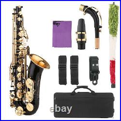 Brass Eb Alto Saxophone Black Paint E-flat Sax Carrying Case&Accessories J8Y2