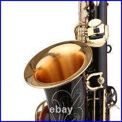 Brass Eb Alto Saxophone Black Paint E-flat Sax + Mouthpiece Carry Case Kit J7K1