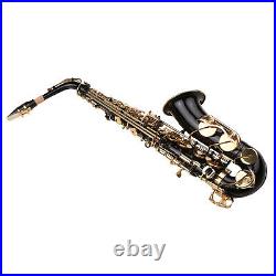 Brass Eb Alto Saxophone Black Paint E-flat Sax with Padded Case Accessories D3C1