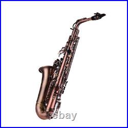 Brass Eb Alto Saxophone E-flat Sax Woodwind Instrument with Carry Case Y5M7