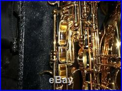 Cannonball Professional Alto Sax A5-L Stone Series, Big Bell. With Hard Shell Case