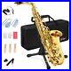 Eastar_Alto_Saxophone_E_Flat_Student_Sax_Gold_Lacquer_With_Carrying_Case_01_kxn