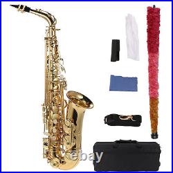 Eb Alto Saxophone Brass Lacquered E Flat Sax 802 Woodwind UK N2Z0