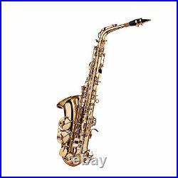 Eb Alto Saxophone Sax Brass Lacquered Gold Woodwind Instrument + Carry Case C6C4