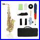 Eb_Alto_Saxophone_Sax_Lacquered_With_Cleaning_Mouthpiece_Brush_F8E6_01_erkz