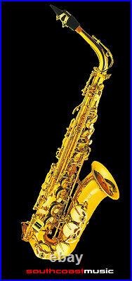 Fontaine Alto Saxophone Outfit With Hard Case And Reed FBW309 Sax